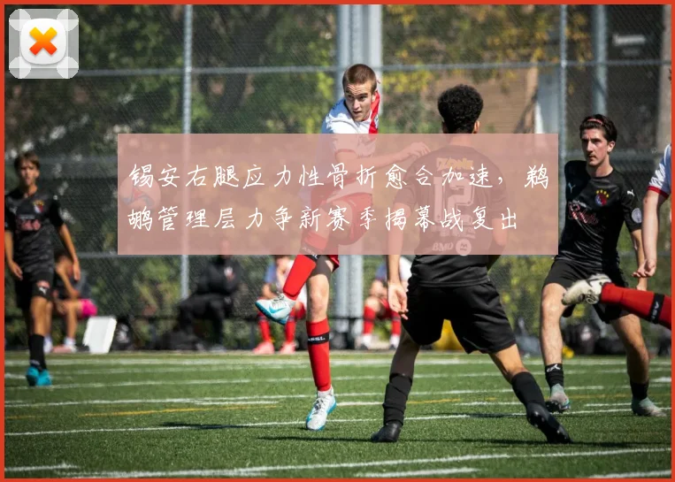 锡安右腿应力性骨折愈合加速，鹈鹕管理层力争新赛季揭幕战复出